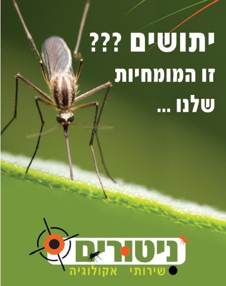 הדברת יתושים